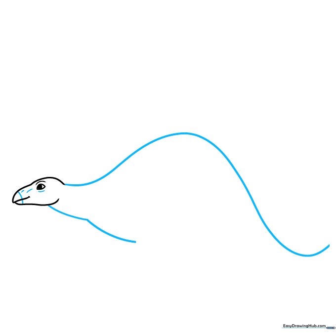 Outline sketch showing the long back and tail curve of the Stegosaurus.