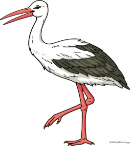 A colorful, finished illustration of a standing stork, serving as the guide's final goal.