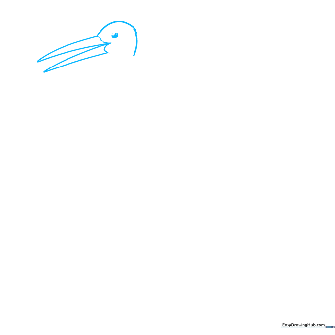 Close-up pencil sketch of a stork's head and long beak, showing the initial construction lines.