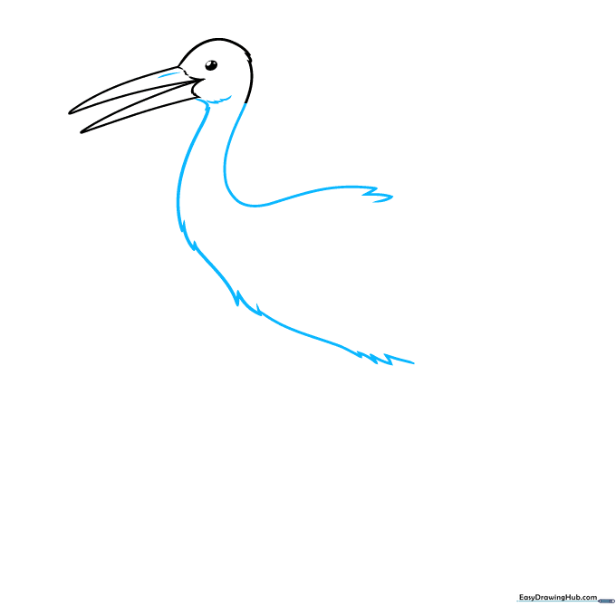 Drawing the stork's neck and back using jagged lines to simulate feather texture.