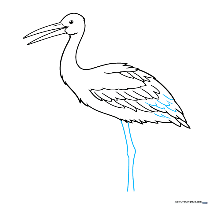 Sketching the first long, thin leg of the stork with a visible knee joint.