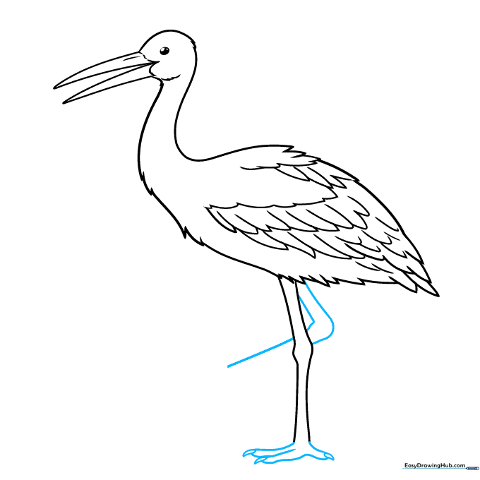 Adding the stork's feet with claw details and a second, raised leg.