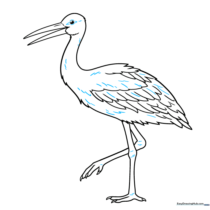Adding final texture lines and eye details to the stork drawing.