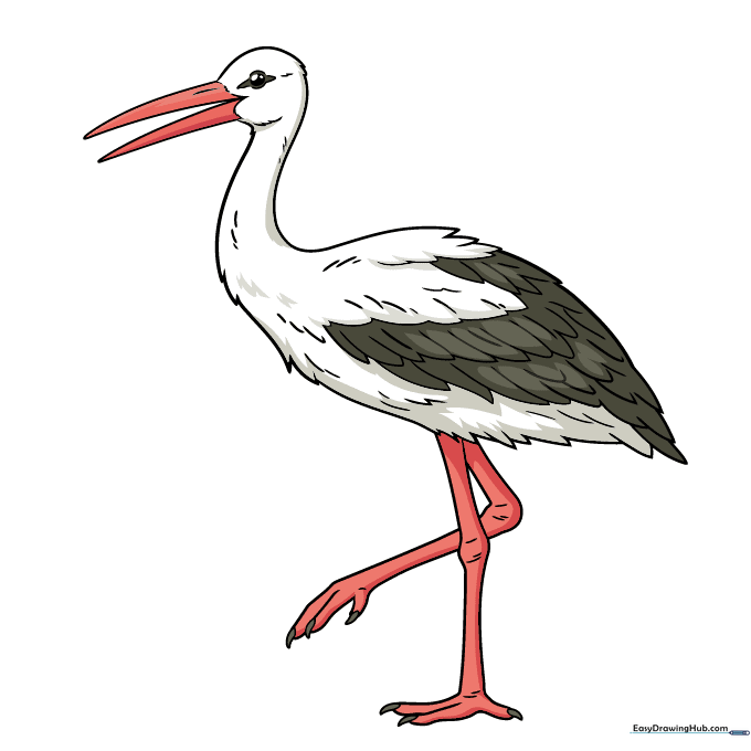 Finished stork drawing with vibrant colors applied to the beak and legs.