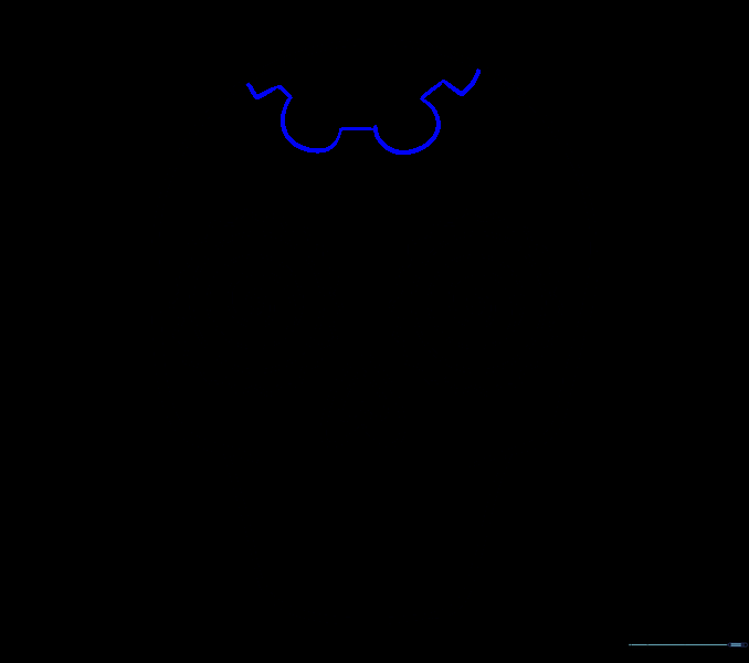 Drawing a geometric decorative pattern on the forehead of the skull.