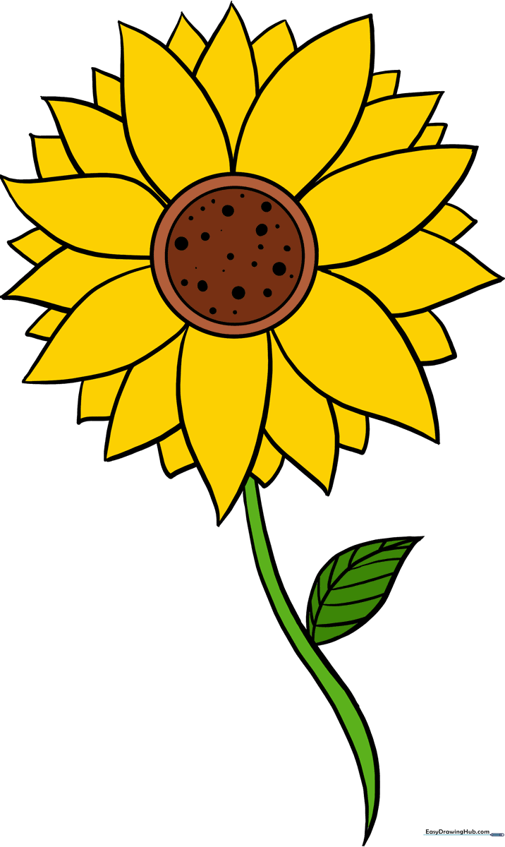 A bright, cheerful sunflower illustration, showcasing the final result of the drawing tutorial.