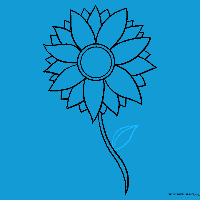 Sunflower drawing showing a large, pointed leaf attached to the stem with a central vein.