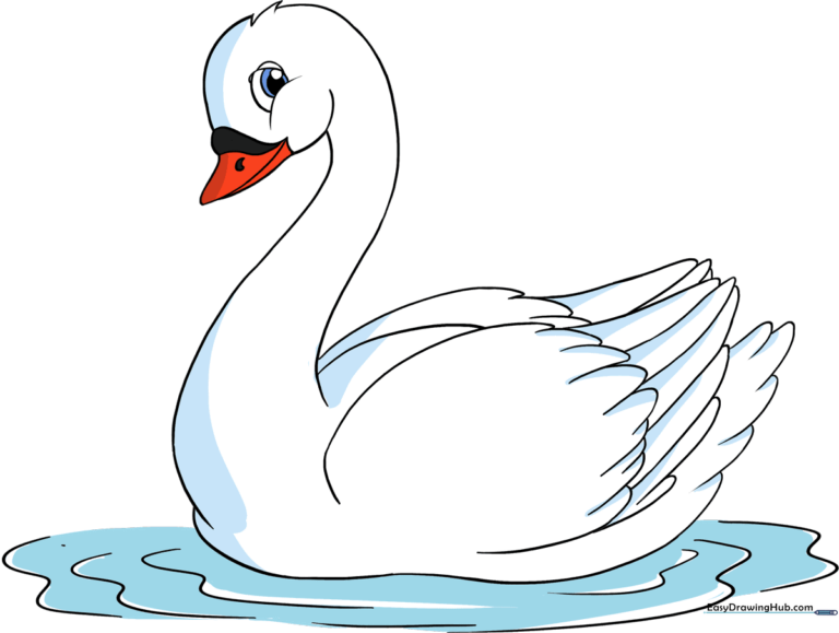 A completed, beautifully colored illustration of a swan swimming on water.