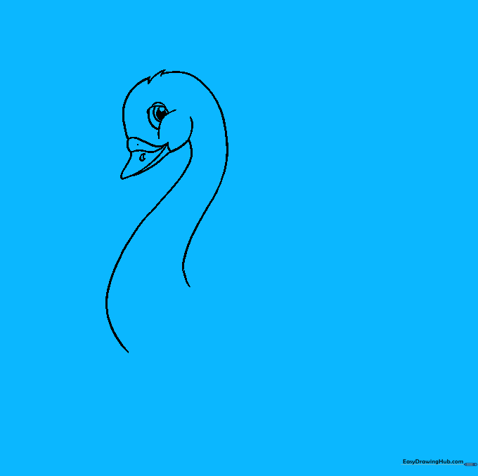 A swan's wing outline being drawn with layered, curved feather details.