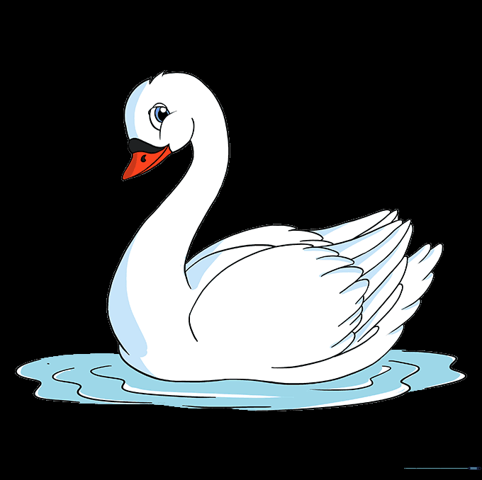 A fully colored swan drawing with shading and water details.