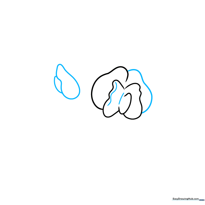 Drawing showing the symmetrical main blossom and a new teardrop-shaped bud.