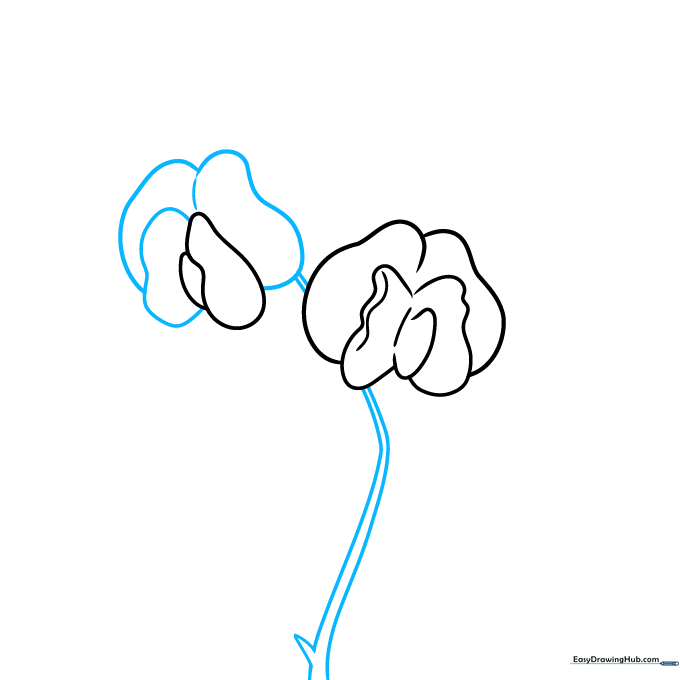 Illustration of the flower stem being extended with a small pointed leaf attached.