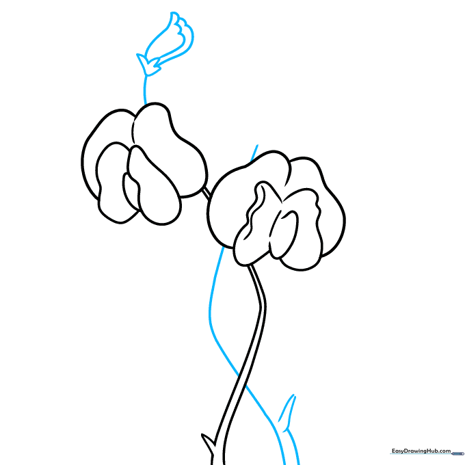 Adding a second stem and a jagged sepal base to the drawing.