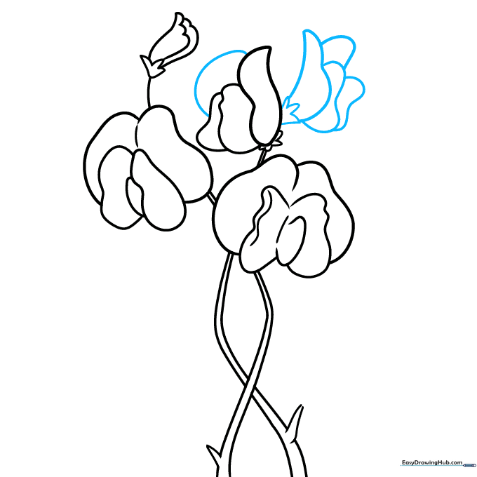 Adding a third blossom to the stem cluster.