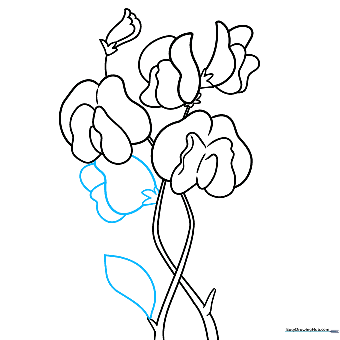 Adding a leaf and additional flower details to the stem.