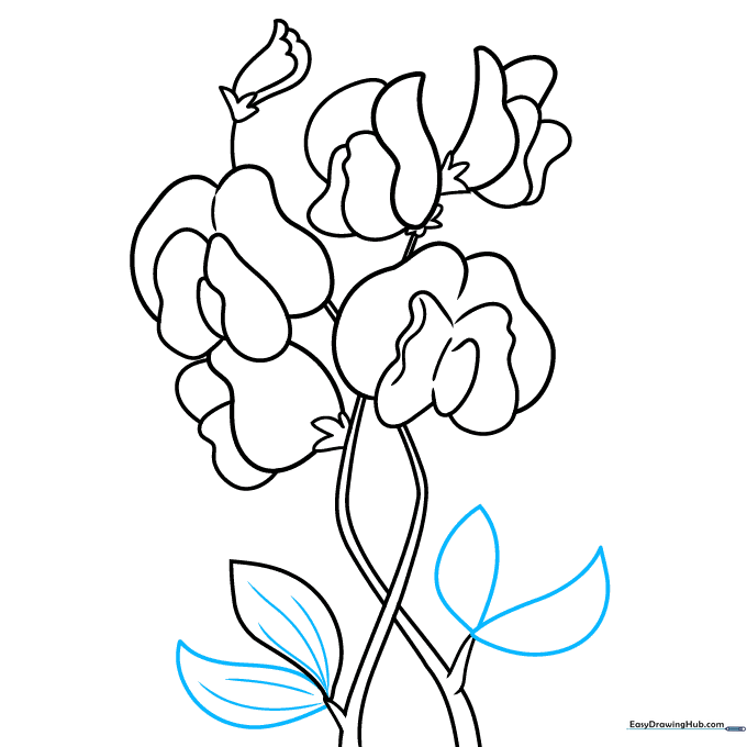 Adding multiple leaves with vein textures to the stem.