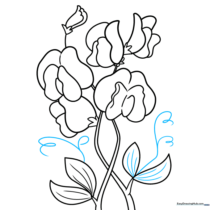 Finalizing the drawing with spiral tendrils.