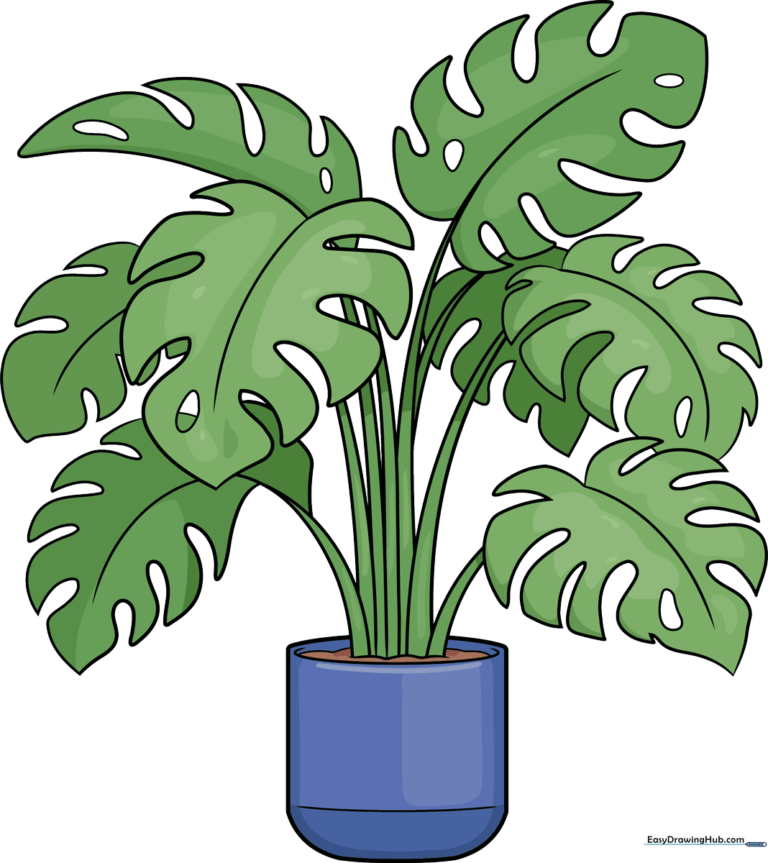 A colorful, friendly cartoon Swiss Cheese plant drawing, perfect for beginners.
