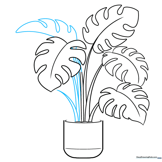 Sketching additional stems and the base of a new leaf.