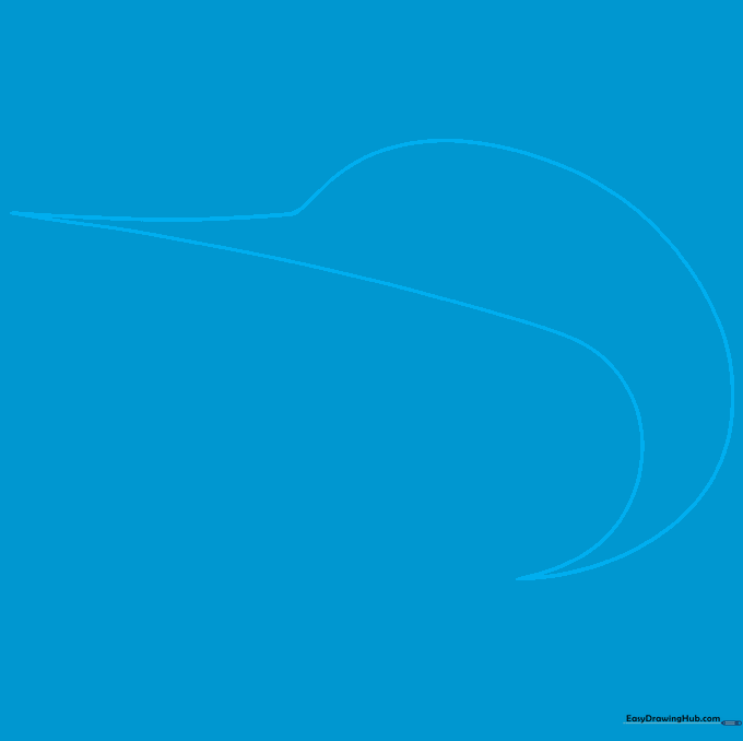 Line drawing of a swordfish body outline and long pointed bill on a white background.