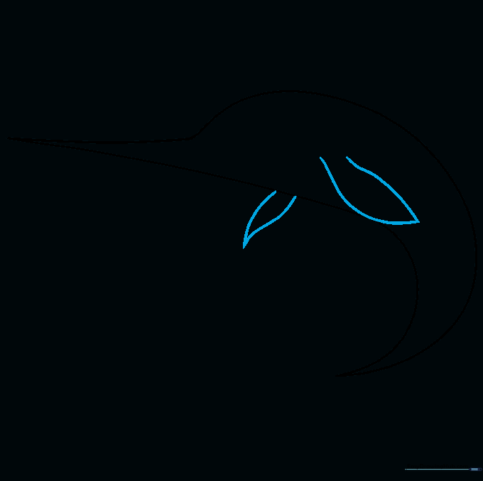 Drawing of a swordfish with two pointed pectoral fins added to the mid-section.