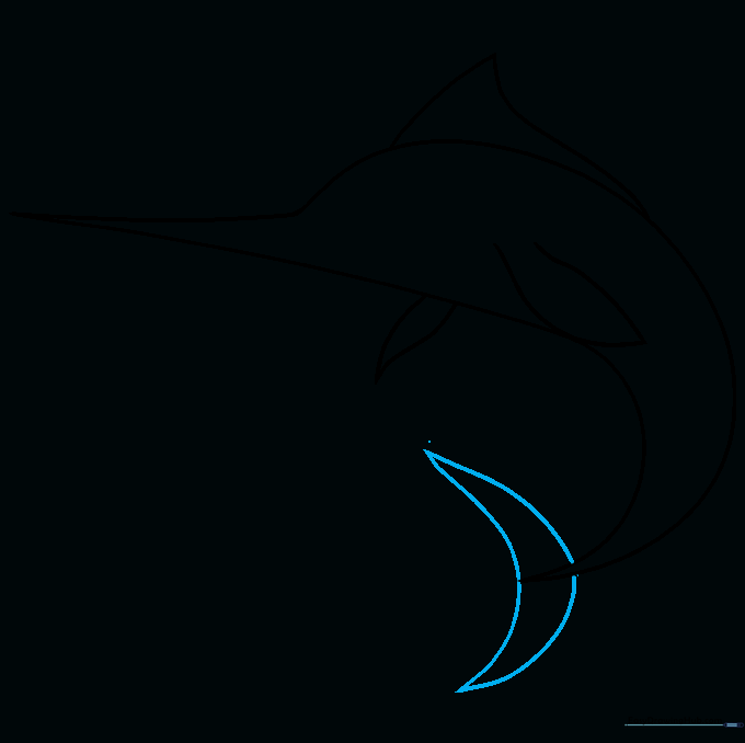 Swordfish outline showing the addition of a forked caudal fin at the rear.