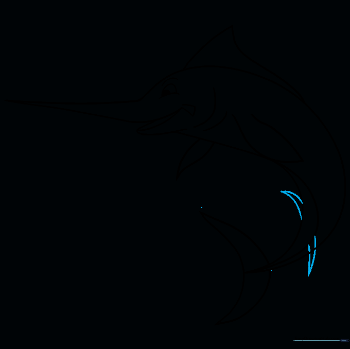 Swordfish outline with small anal fins added to the lower body.