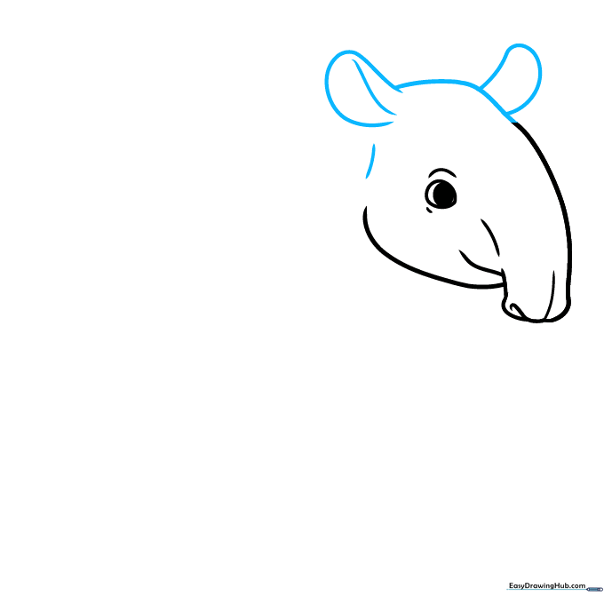 The tapir head outline with two small, rounded ears added to the top.