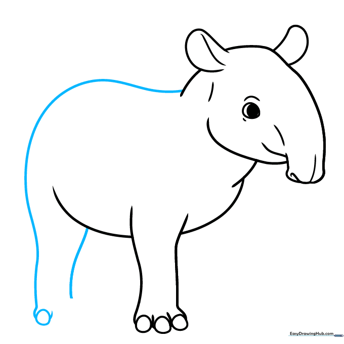 The tapir's back line and rear leg taking shape on the page.