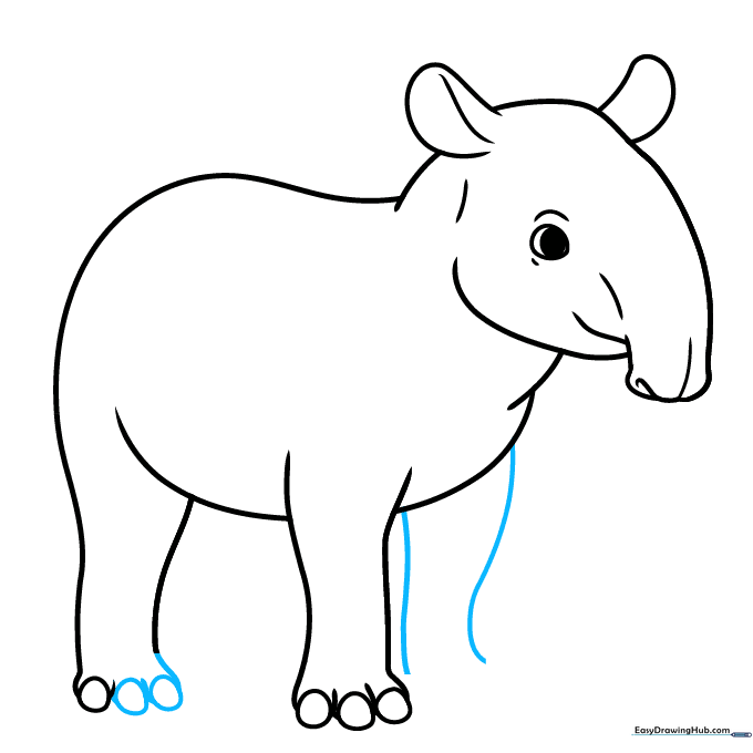 The drawing showing the completed rear foot toes and the second front leg.