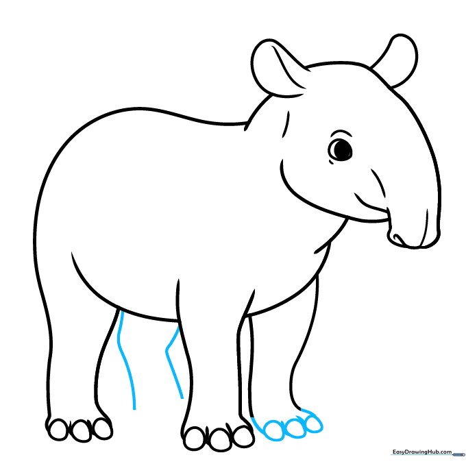 The tapir drawing now showing all four legs and feet clearly defined.