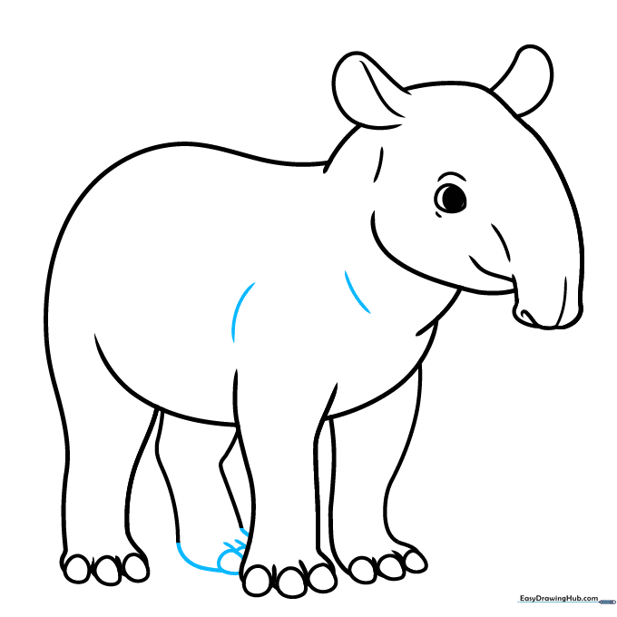 The completed line art of the tapir with final contour details added.