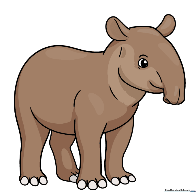 A fully colored, cute cartoon tapir illustration.