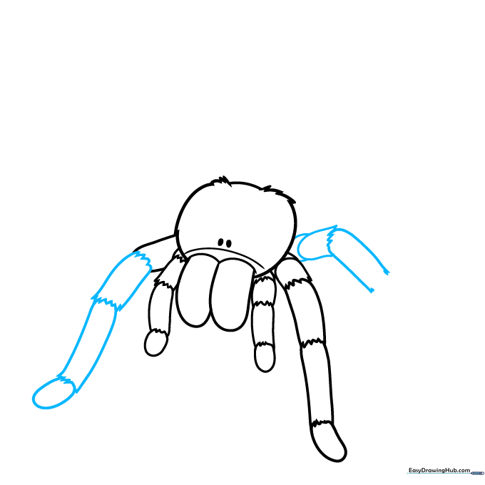 Adding the second pair of walking legs to the tarantula's body.