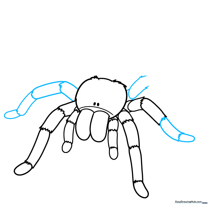 Continuing the drawing process by adding the third pair of legs.