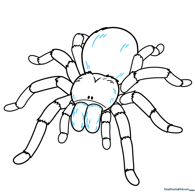 The completed line art of the tarantula with added hair texture.