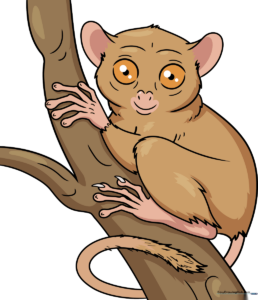 Colorful, finished illustration of a tarsier, showcasing its large eyes and long fingers.