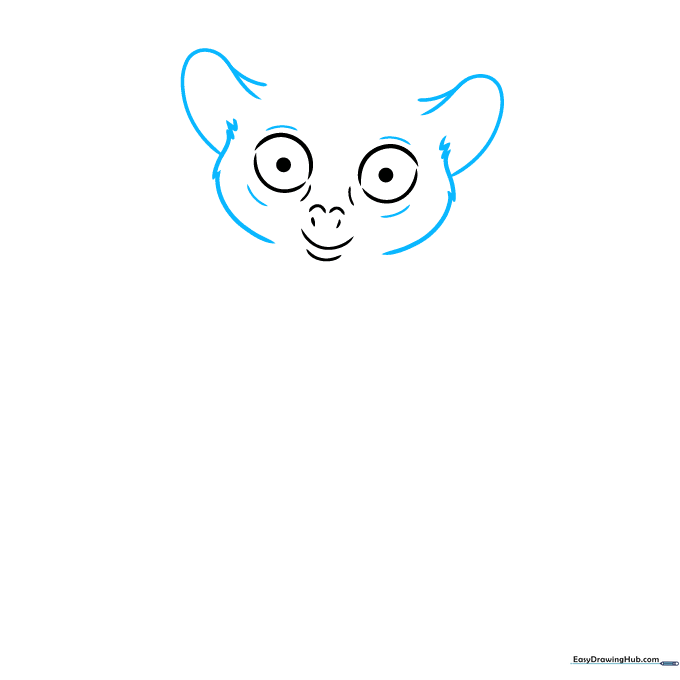 Drawing the outline of a tarsier's head with large ears and textured fur lines.
