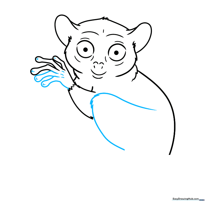 Adding the rear leg and foot to the tarsier drawing.