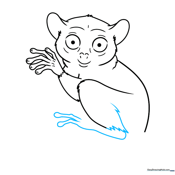 Detailed sketch of a tarsier's foot with long toes and rounded pads.