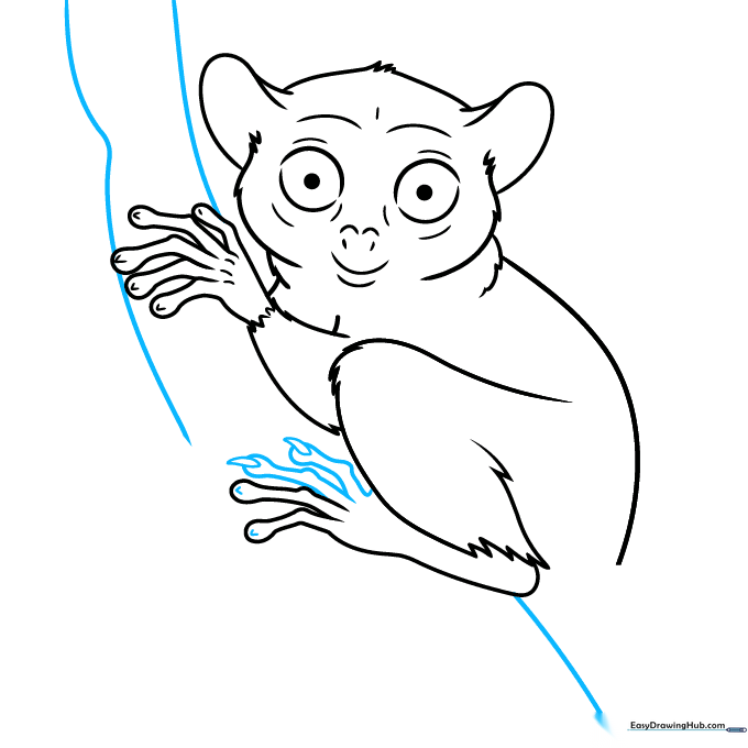 Tarsier clinging to a tree branch with detailed claws.