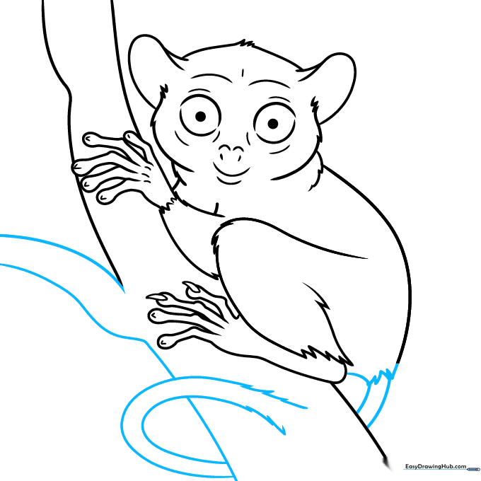 Adding a long, furry tail to the tarsier illustration.
