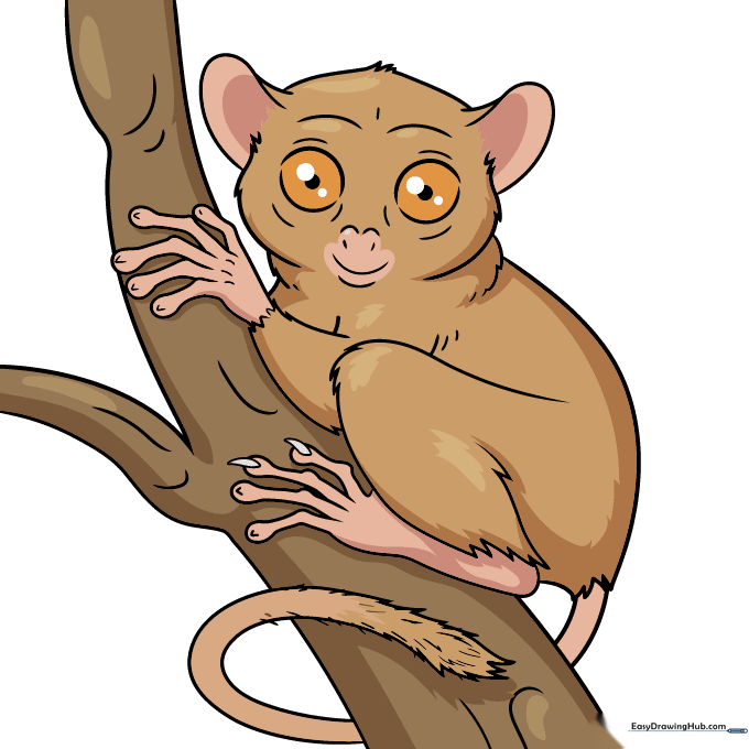 A finished, colored drawing of a cute tarsier sitting on a branch.
