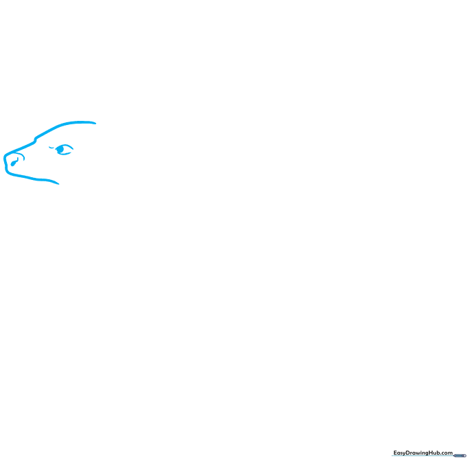 Pencil sketch showing the initial outline of a Tasmanian devil's snout, eye, and nostril on white paper.