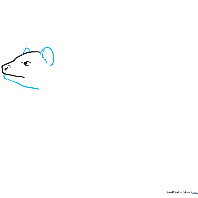 Drawing showing the addition of rounded ears and a lower jaw with jagged fur texture lines.