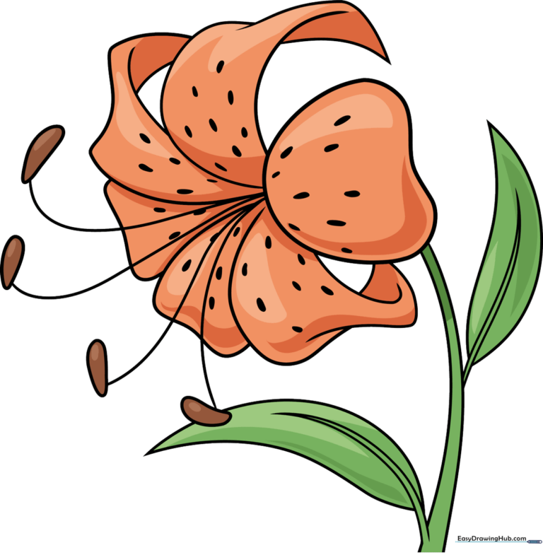A bright, colorful tiger lily illustration, perfect for beginner artists.