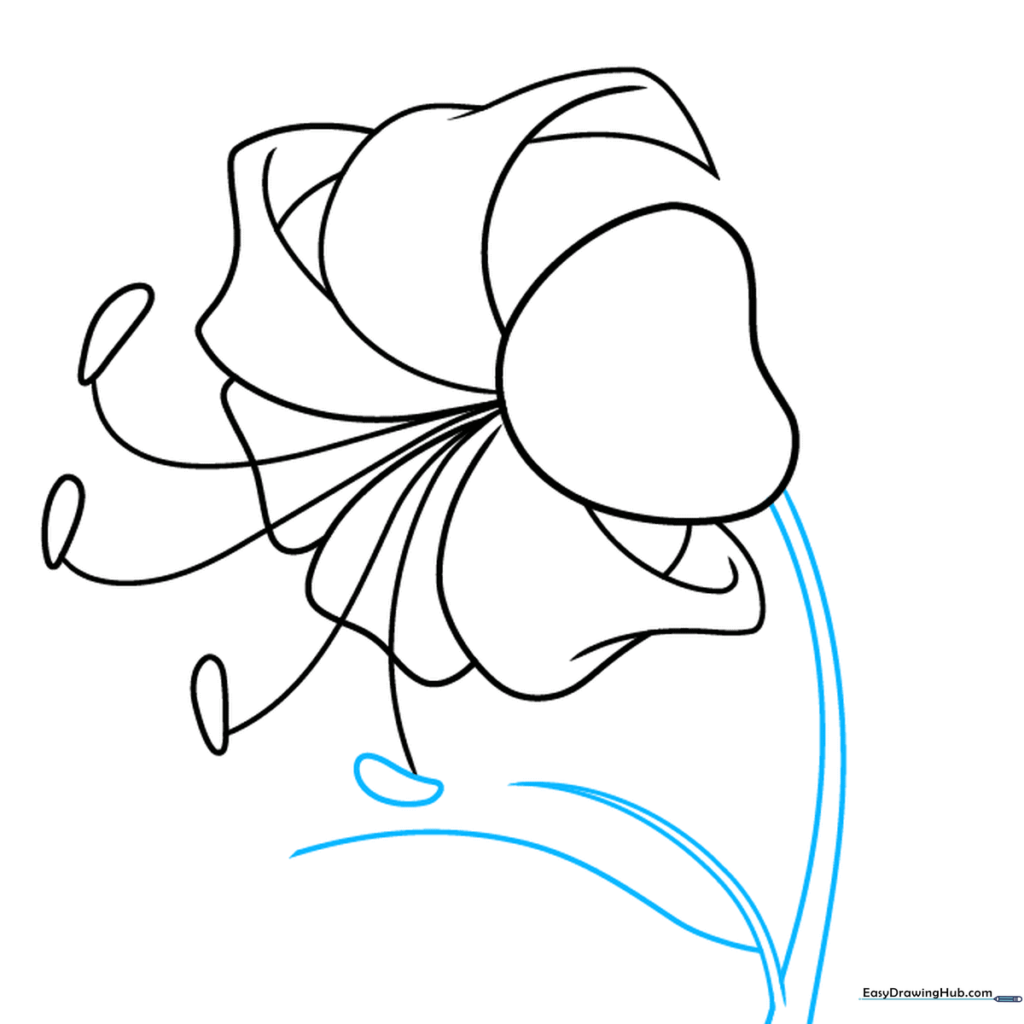 Drawing the stem and the first leaf of the tiger lily.