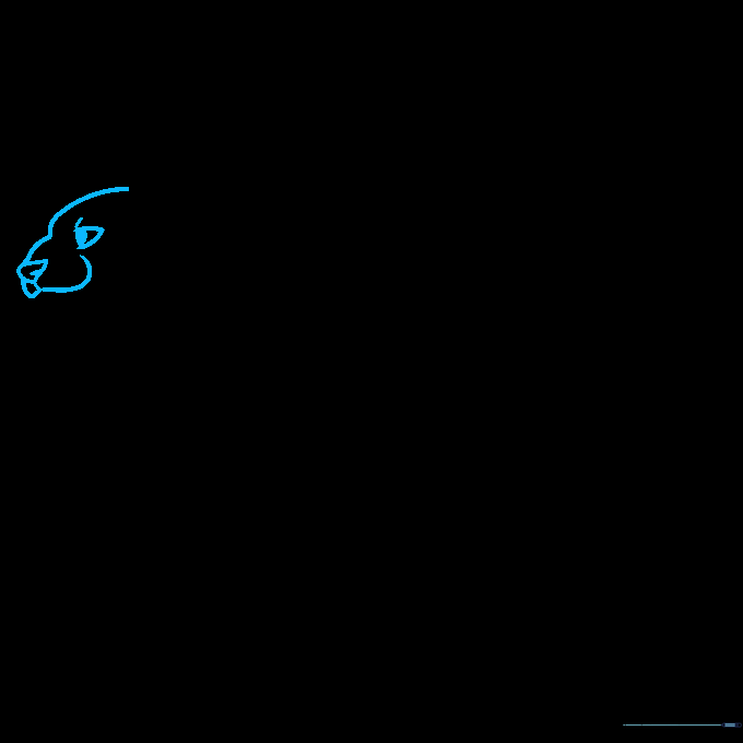 Close-up sketch of a tiger's eyes and nose showing the initial brow and nostril placement.