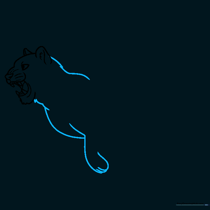 Adding the tiger's neck and shoulder lines to build the body structure.