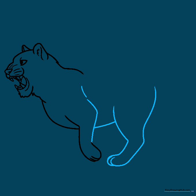 Drawing the tiger's long tail and the visible back legs.